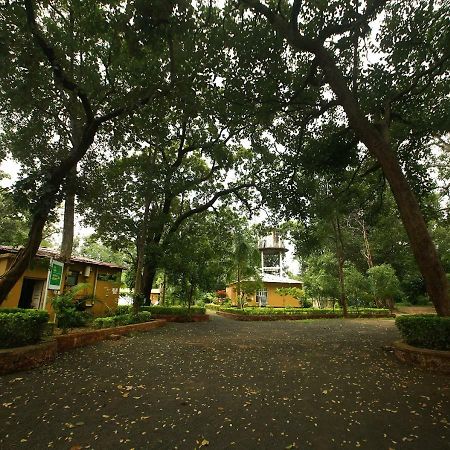 Mpt White Tiger Forest Lodge Tala  Екстер'єр фото
