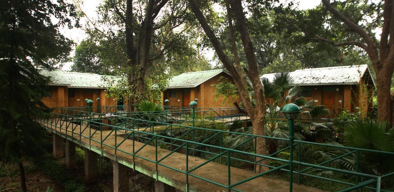 Mpt White Tiger Forest Lodge Tala  Екстер'єр фото