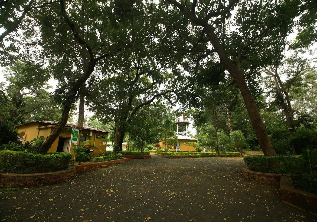 Mpt White Tiger Forest Lodge Tala  Екстер'єр фото